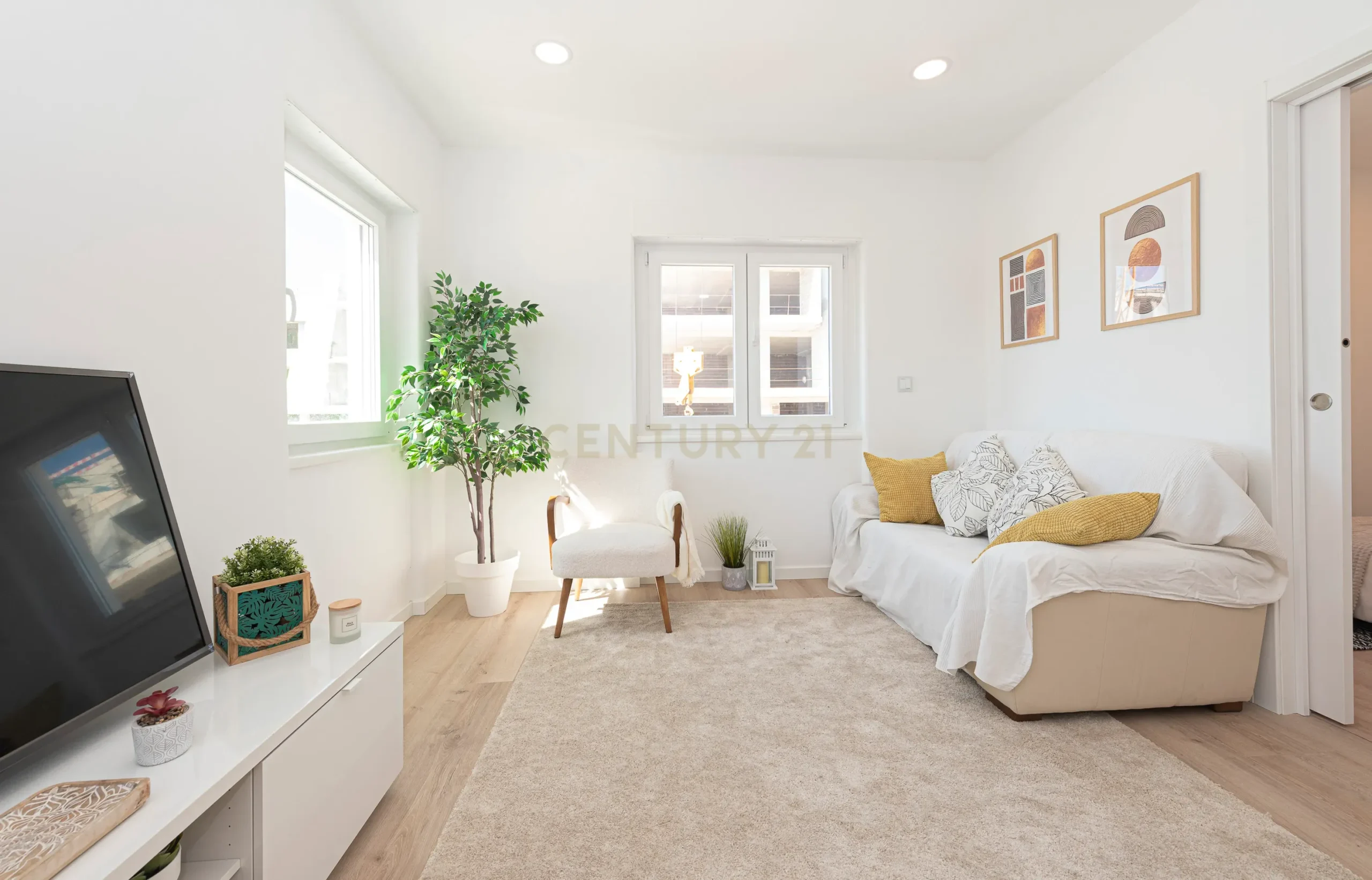 -dsc2595_79c8497e-2d6f-40ba-91d1-0147e3ddb6b6