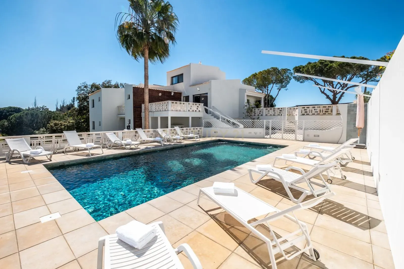 imagem-whatsapp-2025-01-07-as-21-32-04-2eb5982c_9cbc05f8-7a5b-4184-96b6-2135f07fdb3d