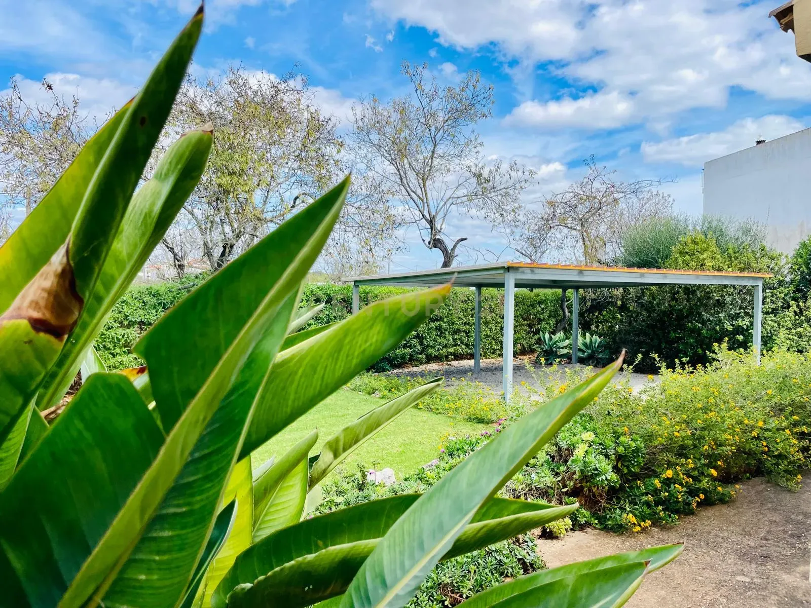 img-20240927-wa0049_ab751787-20f6-413e-879c-8f93f341b329