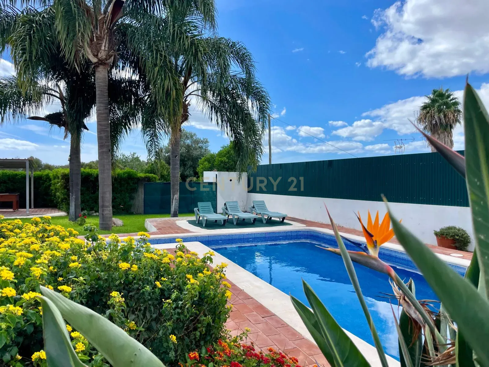 img-20240927-wa0053_d25da4eb-ead4-478a-86c2-56f63eefbb02