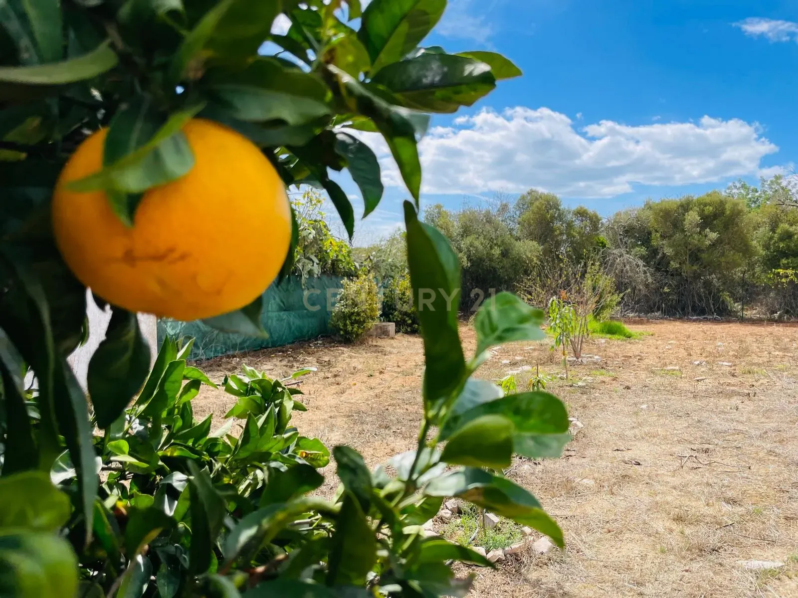 img-20240927-wa0057_109b4362-a79b-4c26-8a1c-6b0d6f46495a