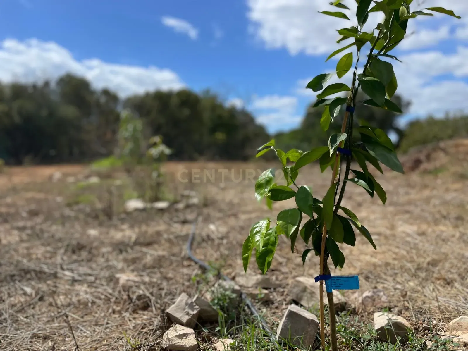 img-20240927-wa0058_44033e08-706a-4399-89db-4d7df740e9d9