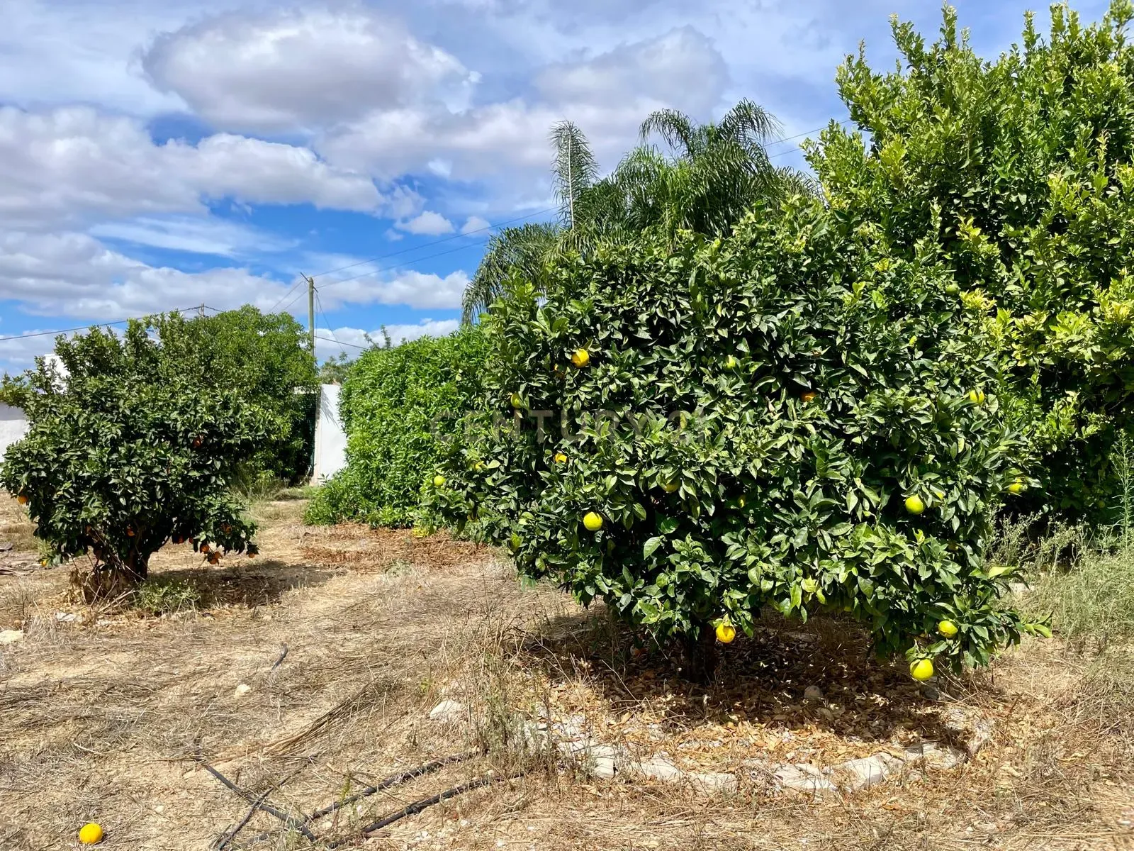 img-20240927-wa0059_6659f5bd-e141-4f62-ac35-a9dd42c0fc7c