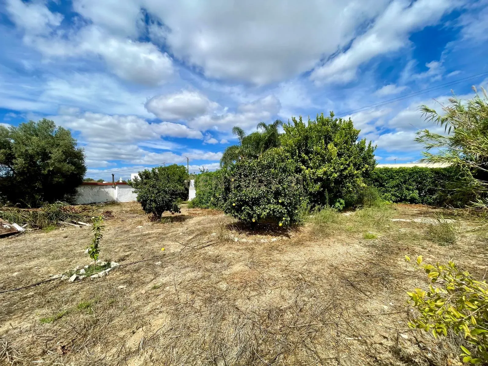 img-20240927-wa0060_6b9ab1b0-ff26-4aa3-a460-1562967f5f10