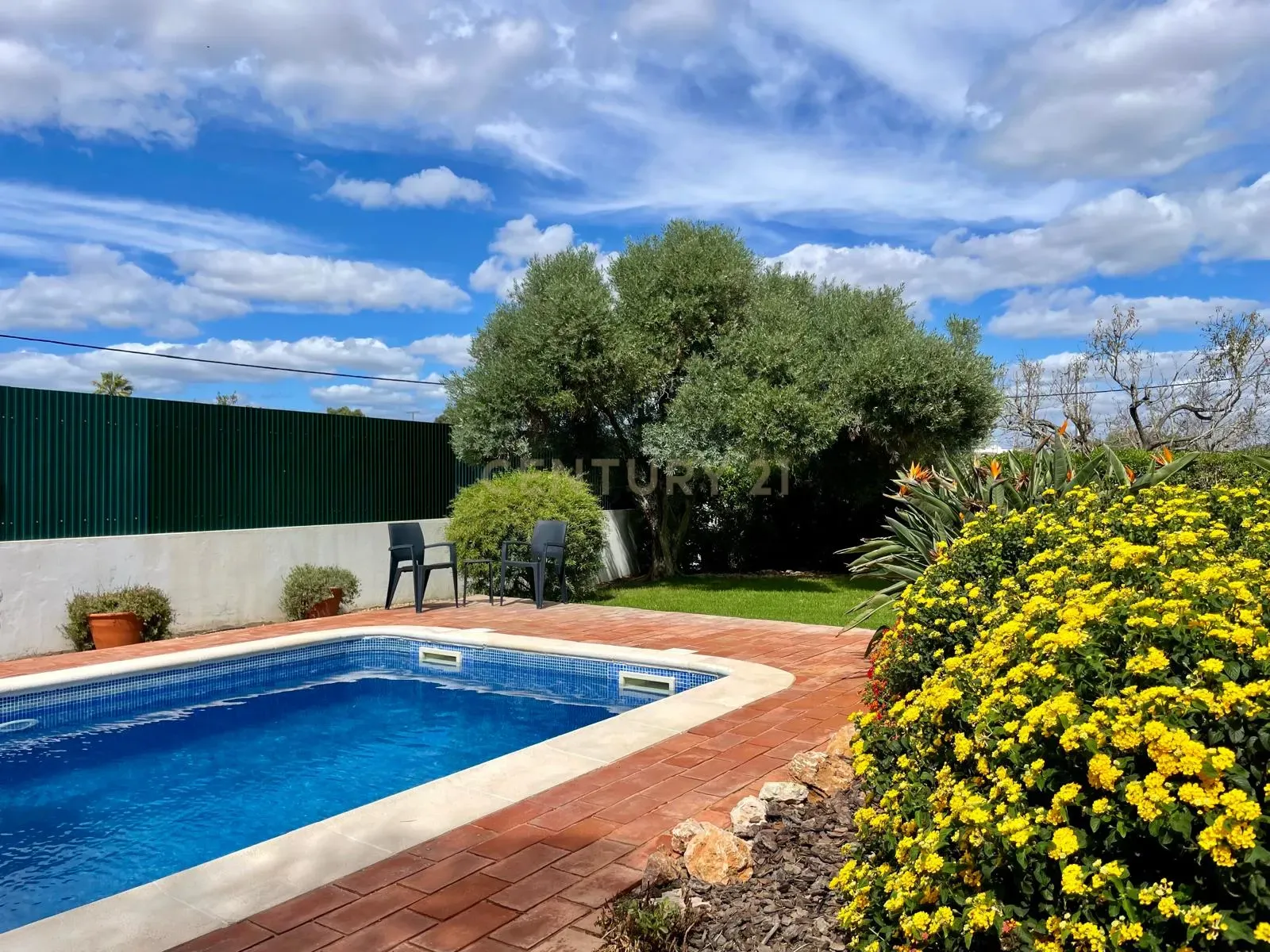 img-20240927-wa0065_531dbaa9-a0d2-4257-86f9-f389e751960e