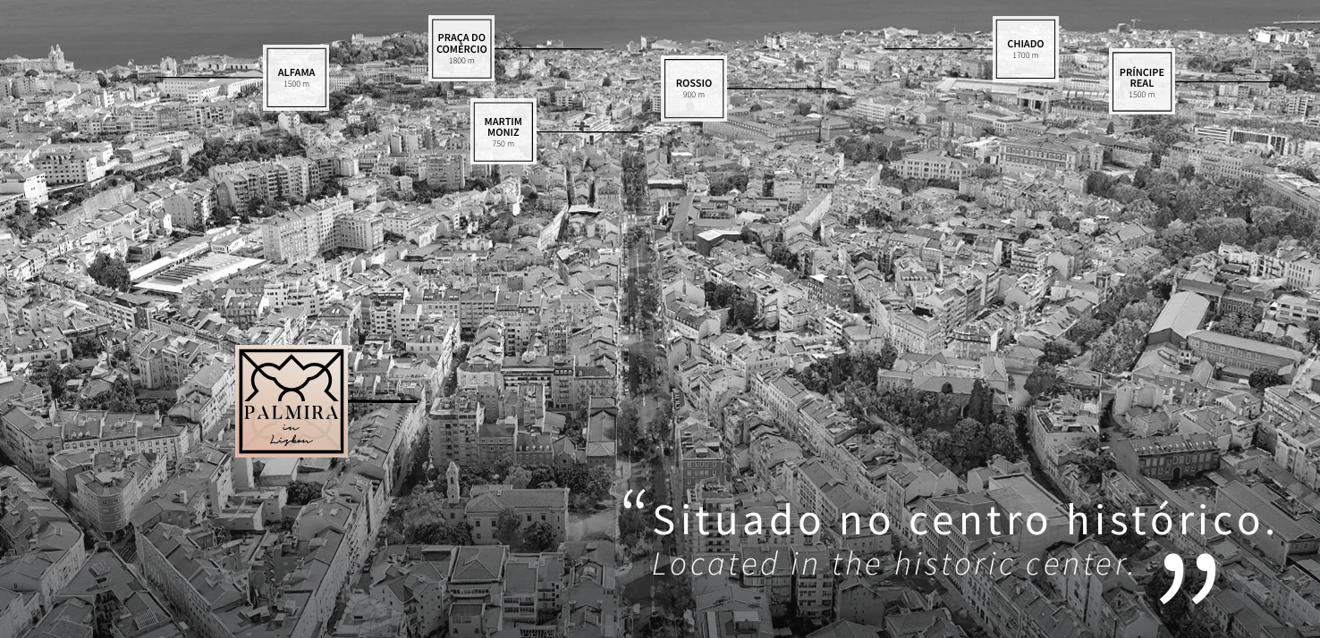 asset-image-5b2e3317-4dc1-4857-85ac-d1a33726e58b-13