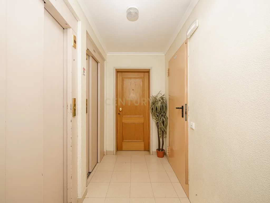 Apartamento T2 Monte Belo Norte - imagem 4