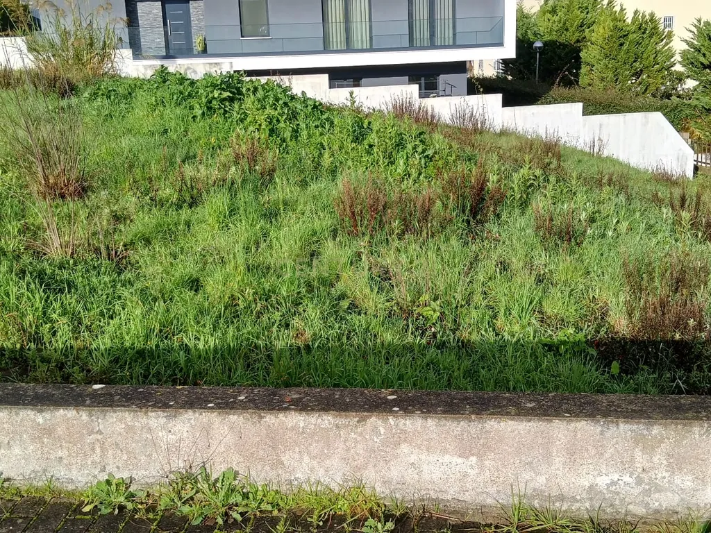 Lote para construção - Alcainça - imagem 4