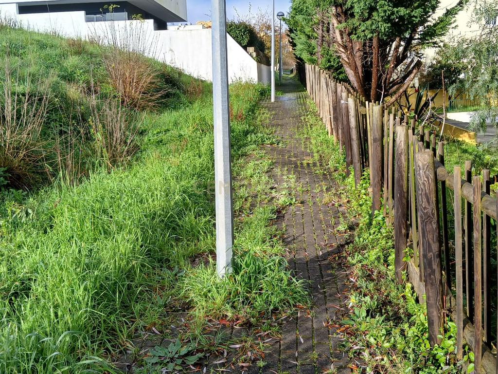 Lote para construção - Alcainça - imagem 5