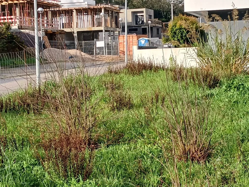 Lote para construção - Alcainça - imagem 9
