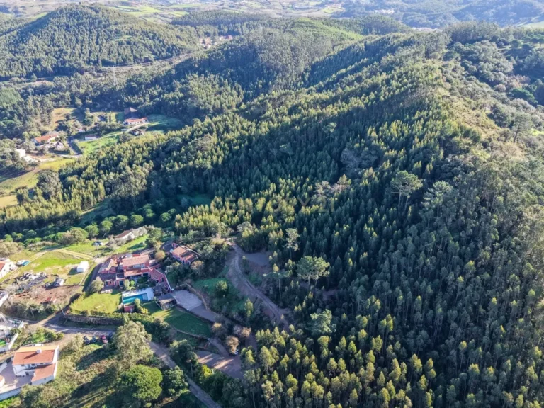 Terreno com projeto aprovado de Moradia Isolada T3 - Picão - imagem 1