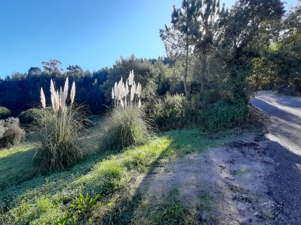 Terreno com projeto aprovado de Moradia Isolada T3 - Picão - imagem 5