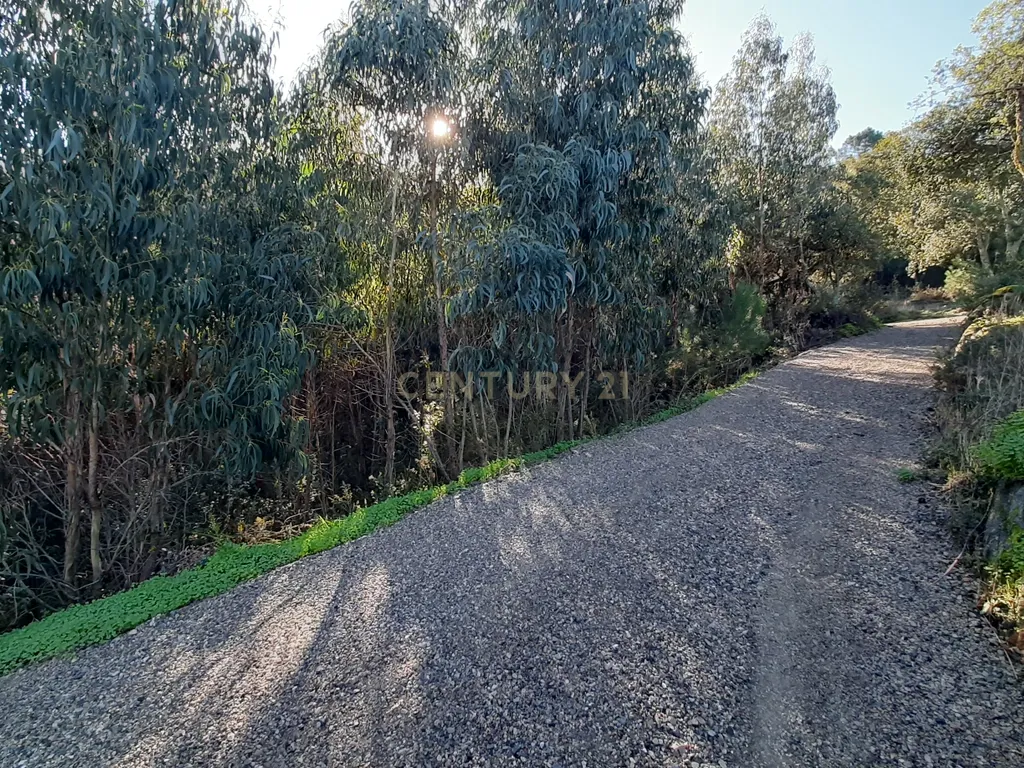 Terreno com projeto aprovado de Moradia Isolada T3 - Picão - imagem 7