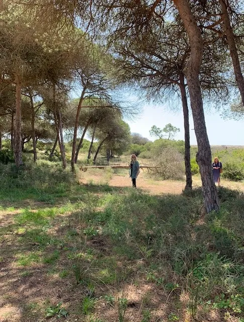 Terreno Quinta Do Lago - imagem 4
