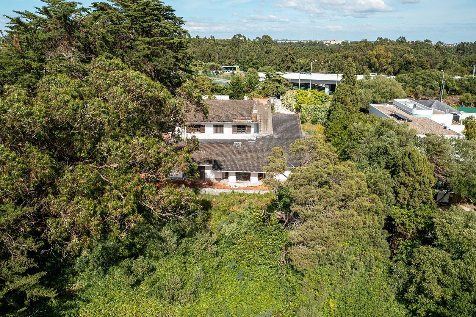 Moradia para Reabilitação Total, com 540 m² de Área Bruta de Construção, em Lote Urbano de 2.350 m² | Alcabideche, Cascais - imagem 05