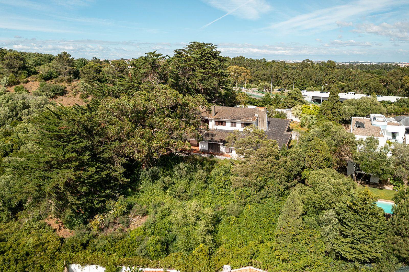 Moradia para Reabilitação Total, com 540 m² de Área Bruta de Construção, em Lote Urbano de 2.350 m² | Alcabideche, Cascais - imagem 06